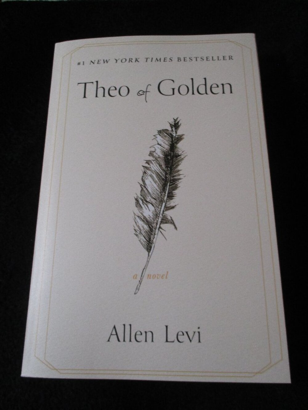 Theo of Golden Softcover Novel by Allen Levi NEW